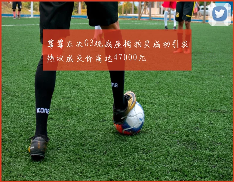 霉霉东决G3观战座椅拍卖成功引发热议成交价高达47000元