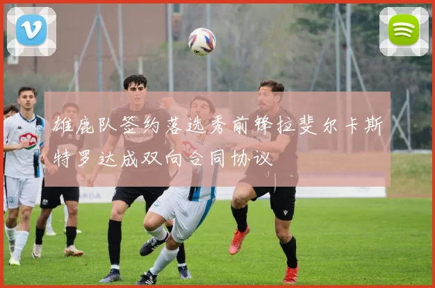 雄鹿队签约落选秀前锋拉斐尔卡斯特罗达成双向合同协议
