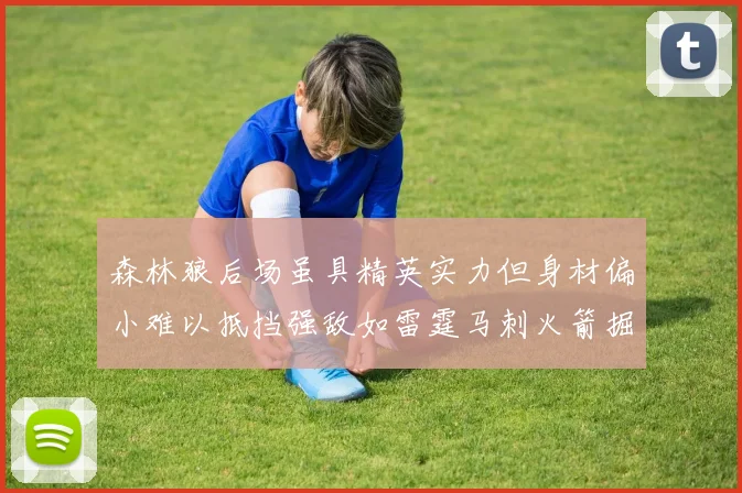森林狼后场虽具精英实力但身材偏小难以抵挡强敌如雷霆马刺火箭掘金