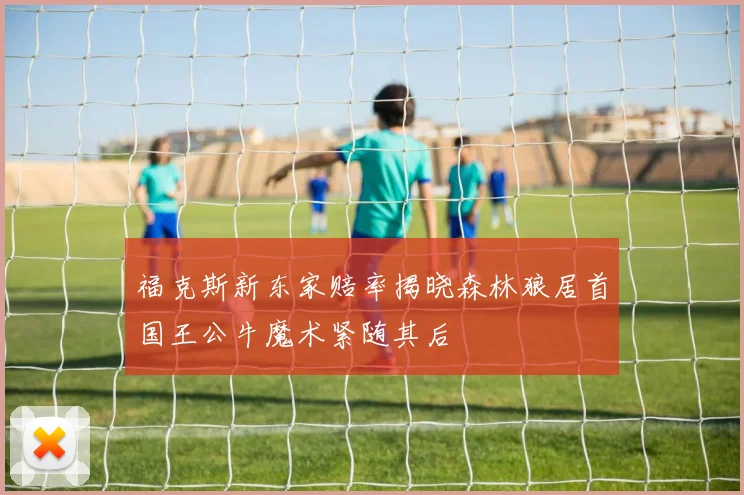 福克斯新东家赔率揭晓森林狼居首国王公牛魔术紧随其后