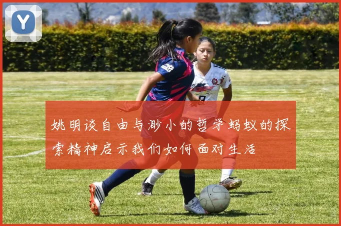 姚明谈自由与渺小的哲学蚂蚁的探索精神启示我们如何面对生活